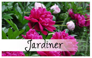 Jardinage