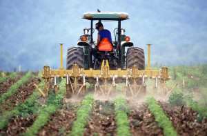 Agriculture biologique