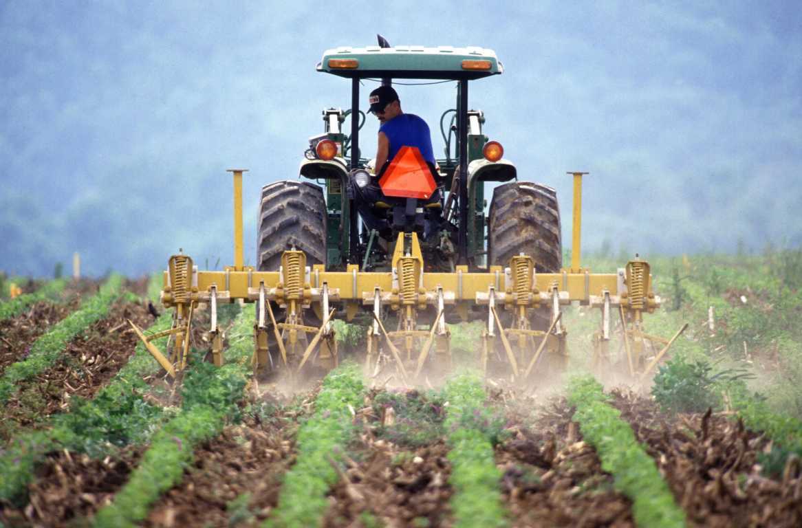 Agriculture biologique