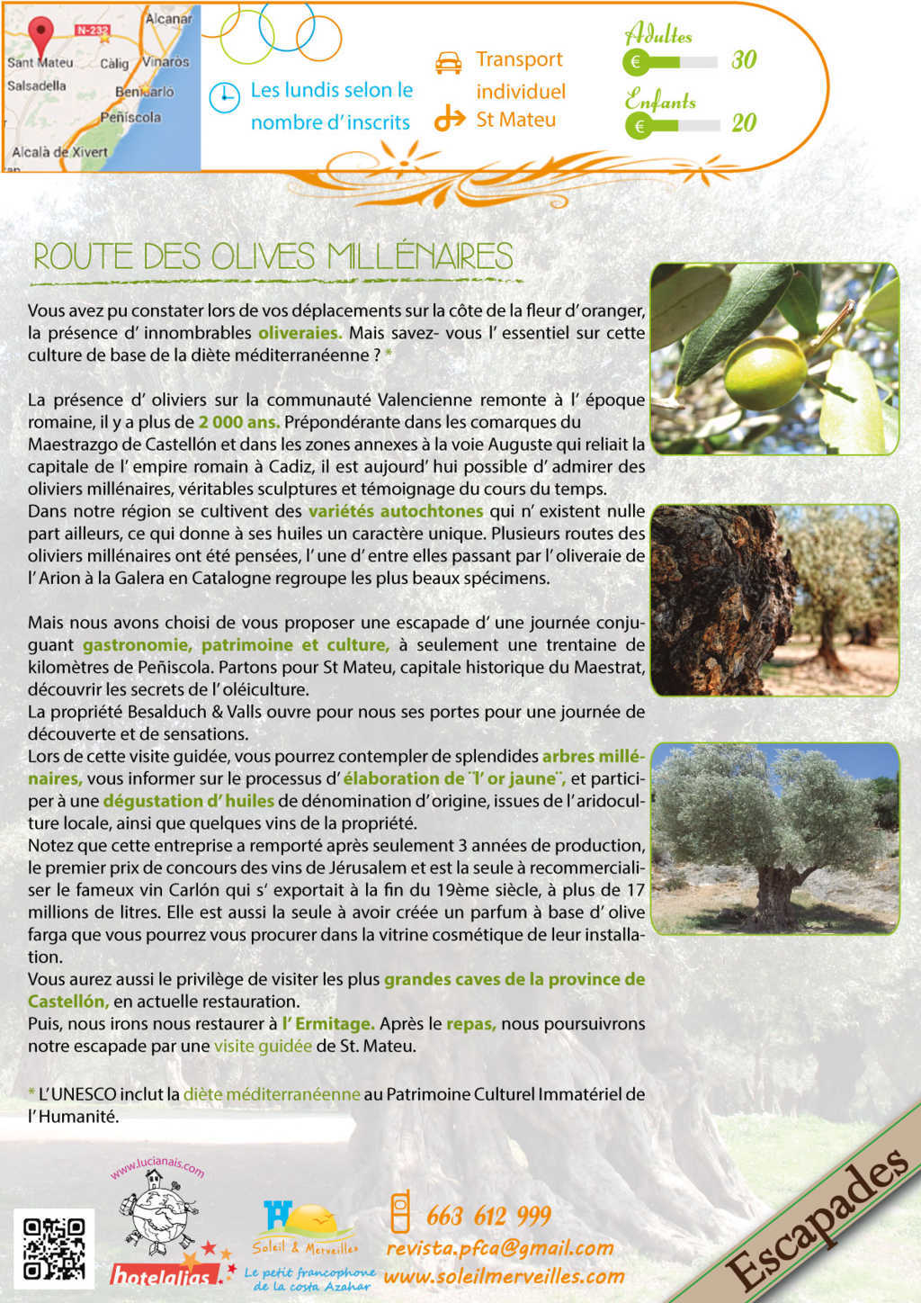 route des olives 