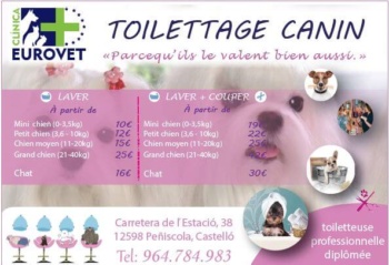 Clinica Eurovet - Toilettage canin