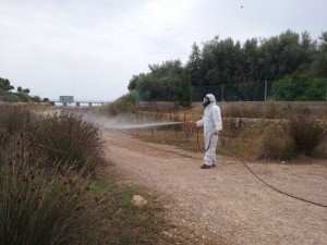 Traitements contre l'invasion de moustiques