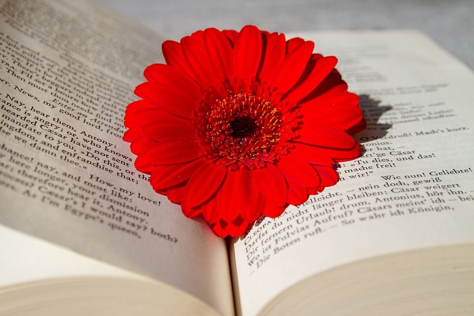 livre